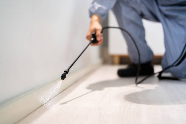 Professional exterminator conducting IPM assessment in Lansdowne