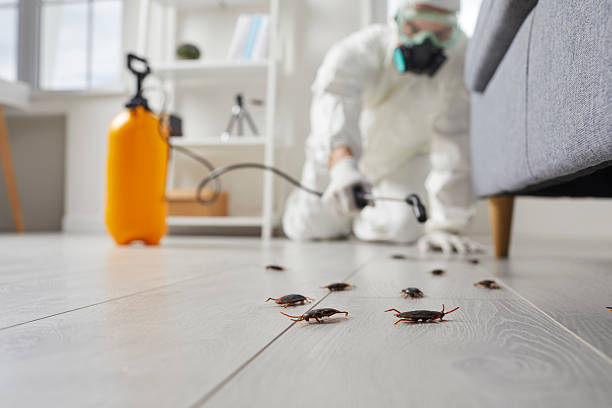 Commercial Rodent Management in Lansdowne